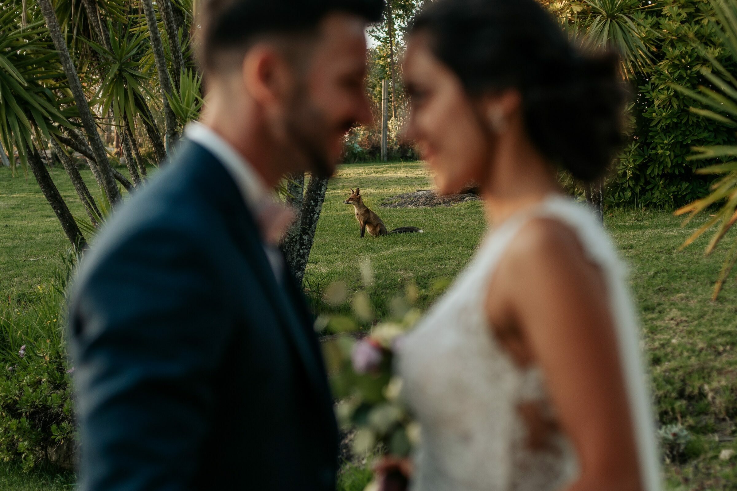 Foto de Sergio Murillo - Fotografo 24