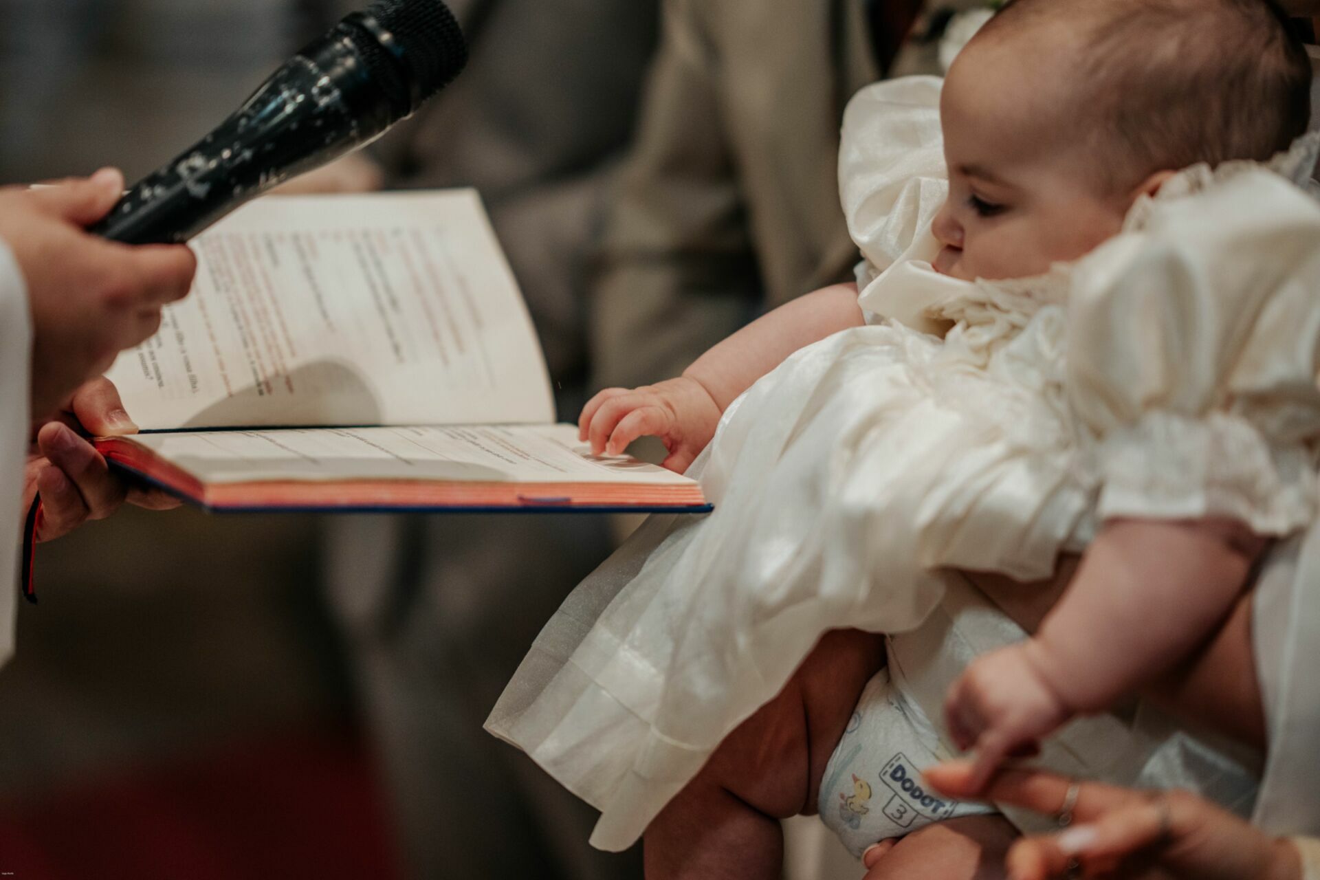 Foto Márcia & David: Um Casamento Especial na Sé de Viseu e Quinta do Vale Minhoto - Imagem 40