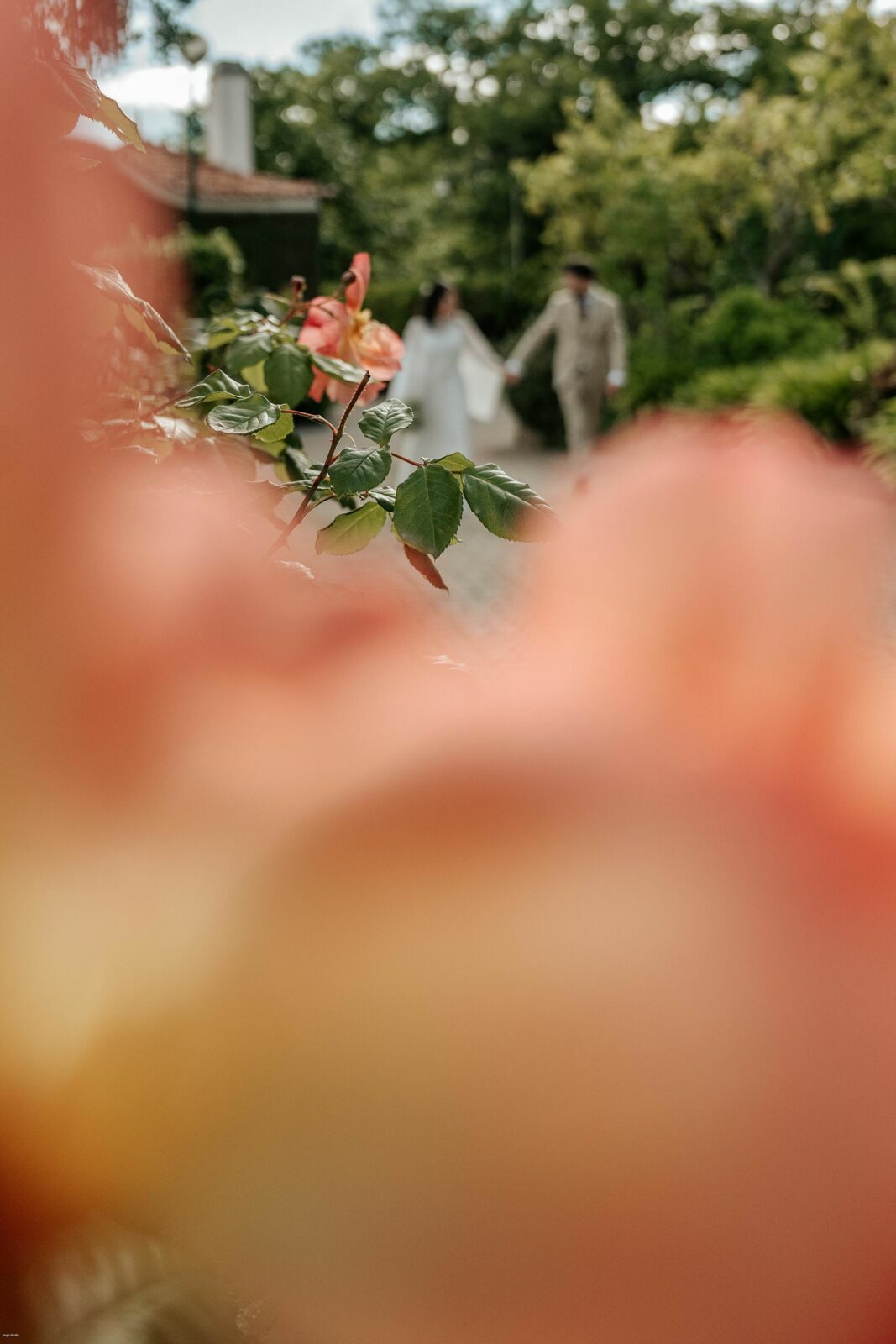 Foto Márcia & David: Um Casamento Especial na Sé de Viseu e Quinta do Vale Minhoto - Imagem 51